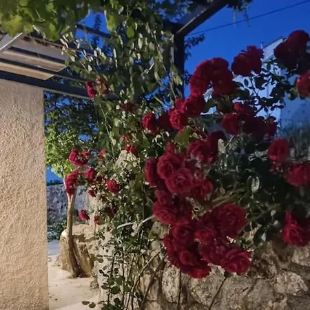 Aiolia Kondoyenádha